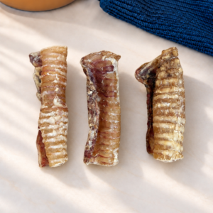 Trachea