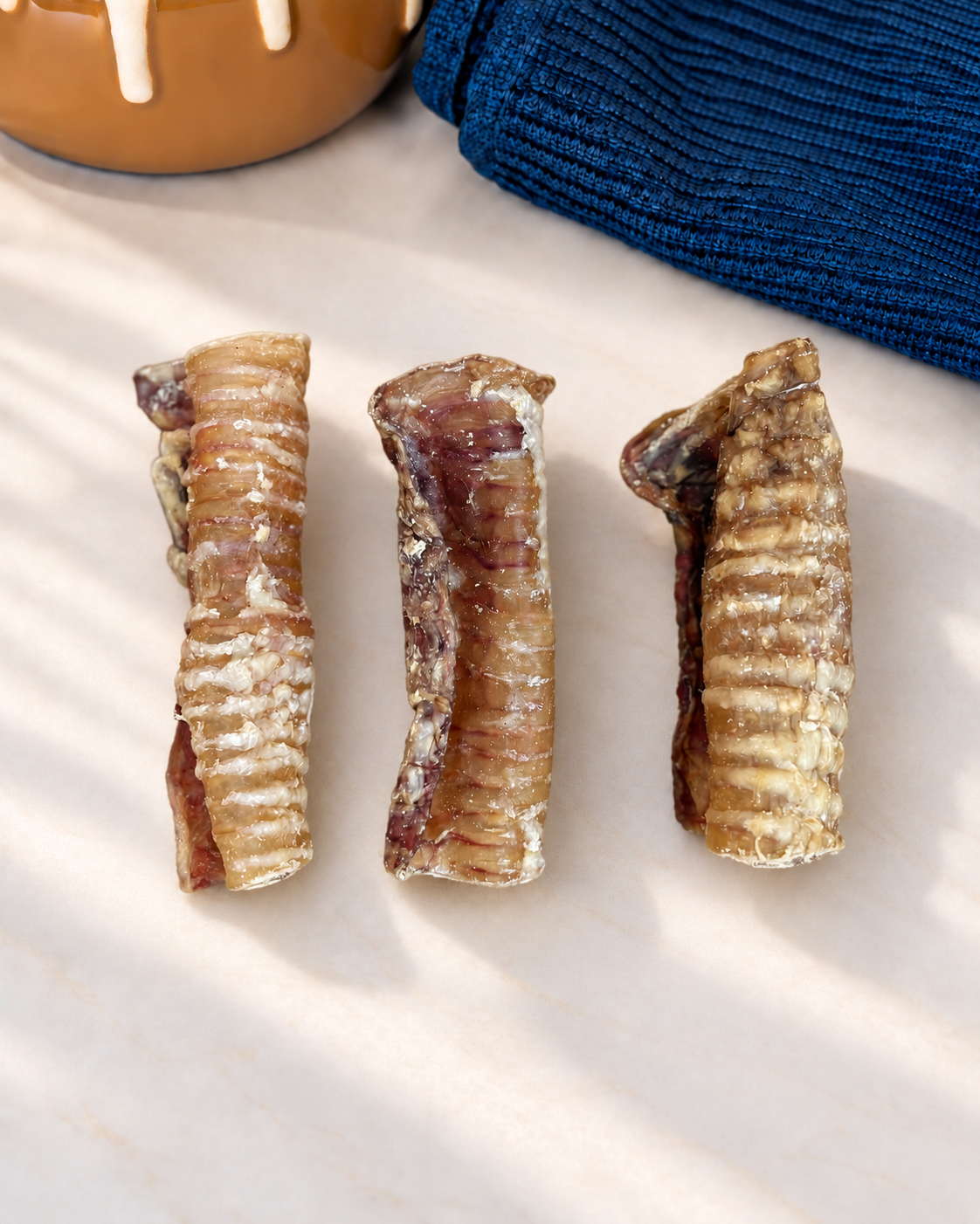 Trachea
