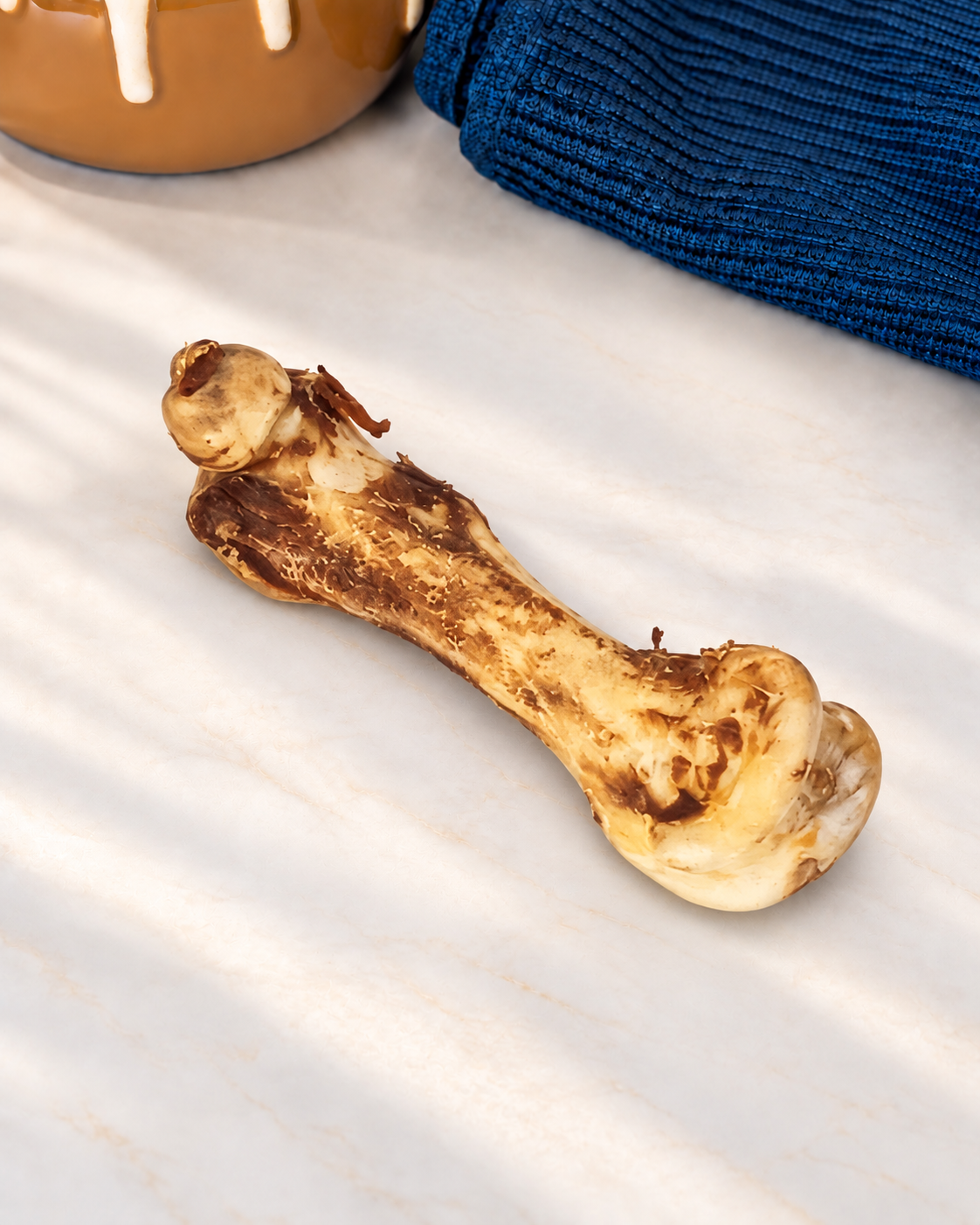Ostrich Dino Bone