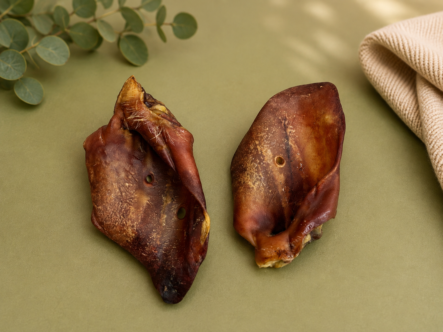 XL Pig Ears